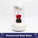 Rose Diffuser.
