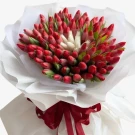 Rouge Bloom - Standard