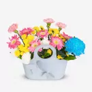 Cheerful Flutter - Standard