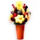 Chocolate Sunrise Fruit Bouquet - default