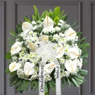 White sympathy wreath with anthuriums, daisies, greenery and memorial ribbon