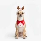 Sit, Stay, Sleigh! - Red