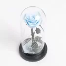 Frozen In Time - Default