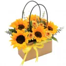 Sunflower arrangement in tan box with yellow ribbon and arched handles