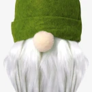 Green Gnome Buddy - 2