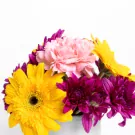 Grandma's Bloom - Standard