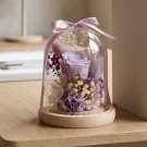 Royal Amethyst - Standard