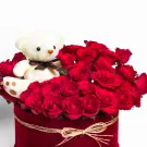 Beary in Love - Standard