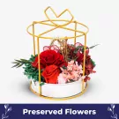 Lustrous Garden - default