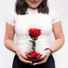 Woman holding glass dome with preserved red rose and green stem