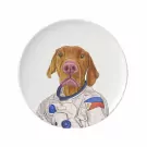 Animal Printed Porcelain Plate Set - Standard