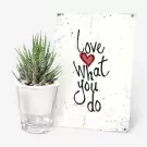 Self-Love Bundle - Standard
