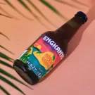 Mango Nation Hazy IPA 4-Bottles - 4 Bottles