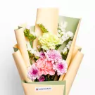 Peach Mint Blooms - Standard