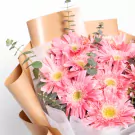 Sugar Blossom - Standard