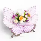 Butterfly Dream - Standard