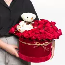 Beary in Love - Standard