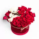 Beary in Love - Standard