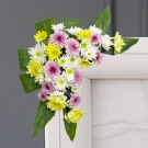 Heartfelt Serenity - Standard