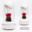 Two white rose diffusers with red flowers, dried baby's breath, and color-changing LED lights