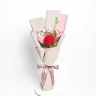 Blushing Knots - Standard