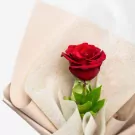 Red Ecuadorian rose with green stem and leaves wrapped in cream paper
