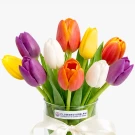 Assorted Tulips (10 Stems) - Standard