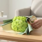 Lime Love - Standard