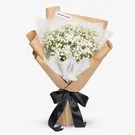Baby's Breath 1