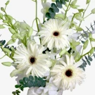 In Blooming Memory - Standard
