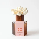 XOXO Sola Diffuser - Standard