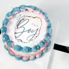 Burn Away Gender Reveal Cake - default