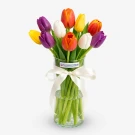 Assorted Tulips (10 Stems) - Standard