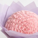 Blooming Blush (100 Pink Roses)