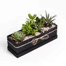 Plant Palette - default