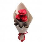 Red Ecuadorian Love - Three vibrant red roses in elegant kraft paper wrapping with red ribbon