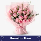 Blushing Pink Rose