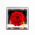 Preserved Peony in Mirror Box - Red