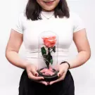 Coral Charm - Default