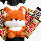 Little Foxy Treats 2