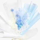 Blue Serenity - Standard.