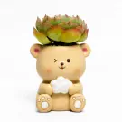Beary Cute - Default