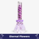Lavender Lullaby - Standard