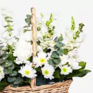 Basket of Chances - Standard