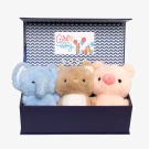 Oh Baby! Reveal Kit - Standard