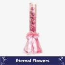 Timeless Flora - Standard