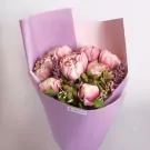 Little Peony - Twilight Sparkle