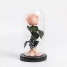 Coral Charm - Default
