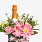 Peach Fizz Garden - Standard