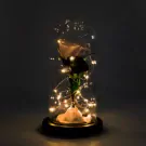 Moonlight Magic - default